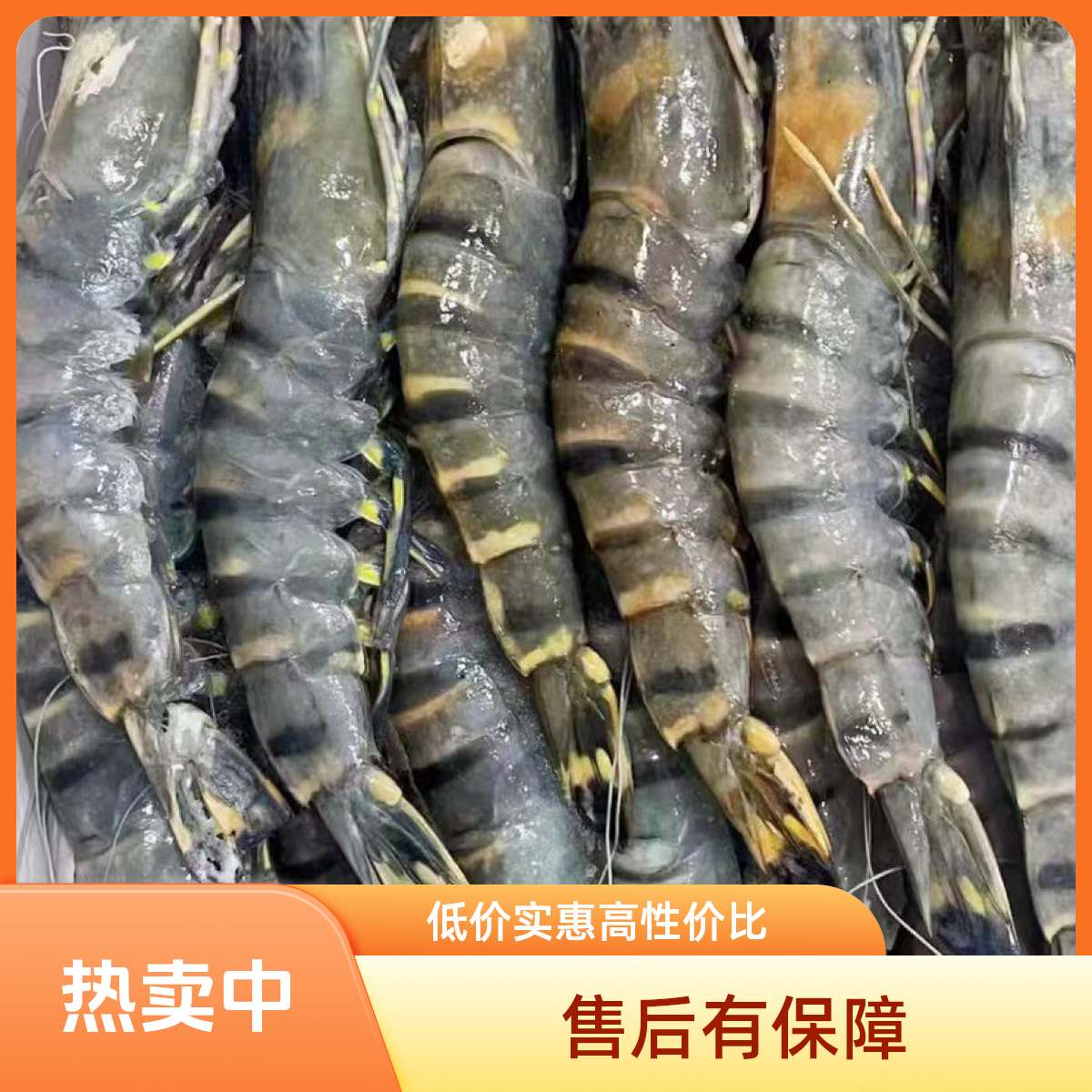 无品牌活冻 黑虎虾 对虾  （SF发货）