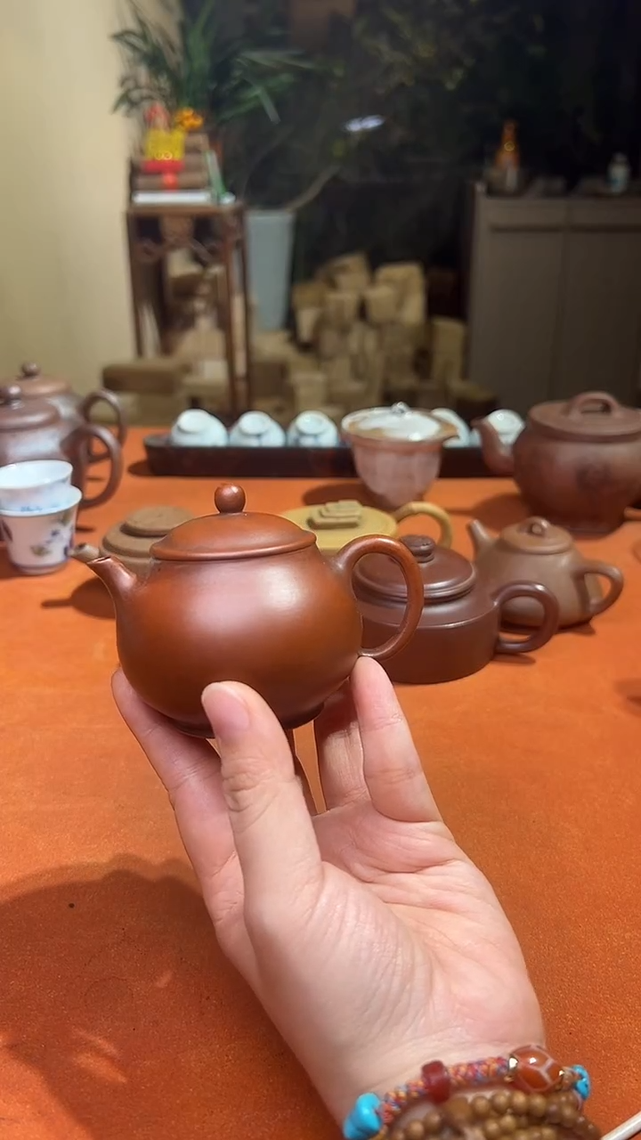 淡**记老壶66666666