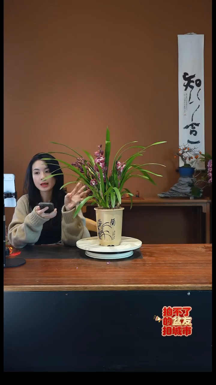 全部花朵红宝石原盆