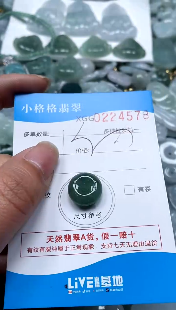 【闪购商品】翡翠颈饰未镶嵌闪购商品0224578