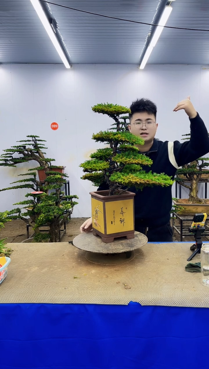完全开放一物一拍，所见即所得