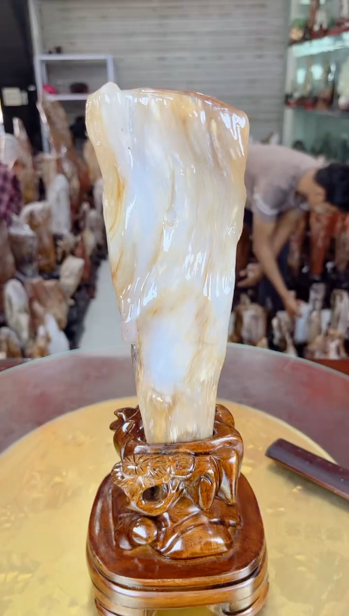 【闪购商品】硅化玉珠宝奇石未镶嵌缅甸天然树化玉