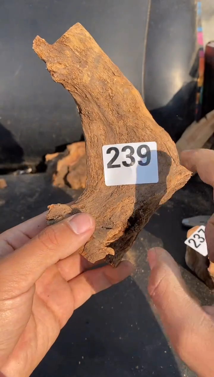 柏木（崖柏）太行陈化崖柏切片！随机（1单1片）239