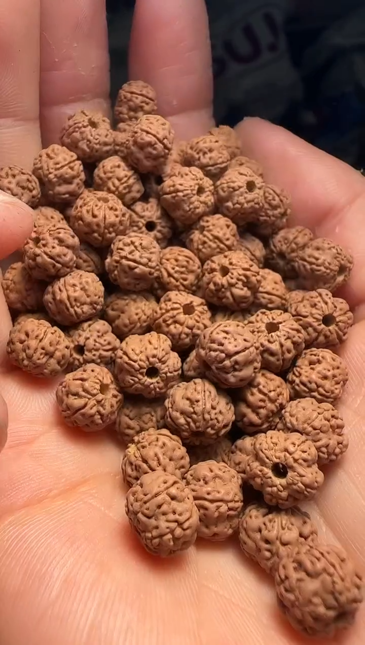 手串金刚菩提非全品老树玉梅花散籽9-10mm一份一百颗