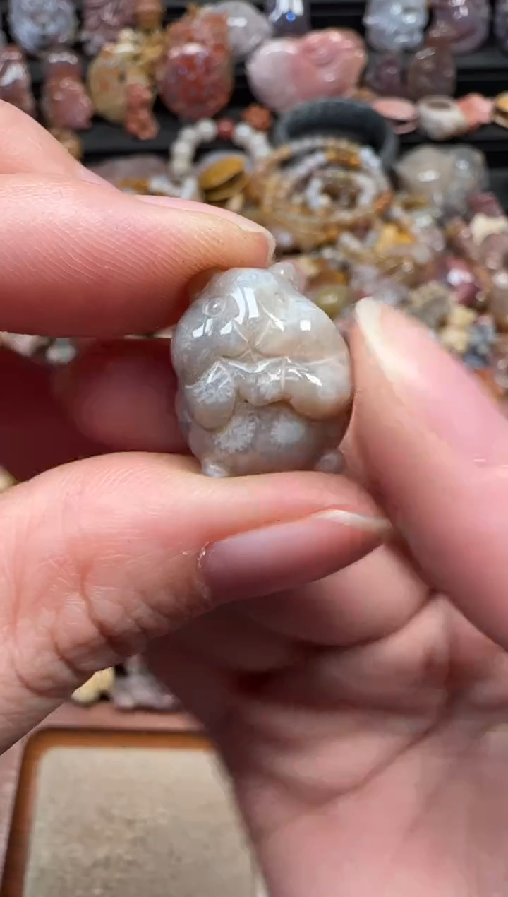 颈饰未镶嵌硅化珊瑚（珊瑚玉）085
