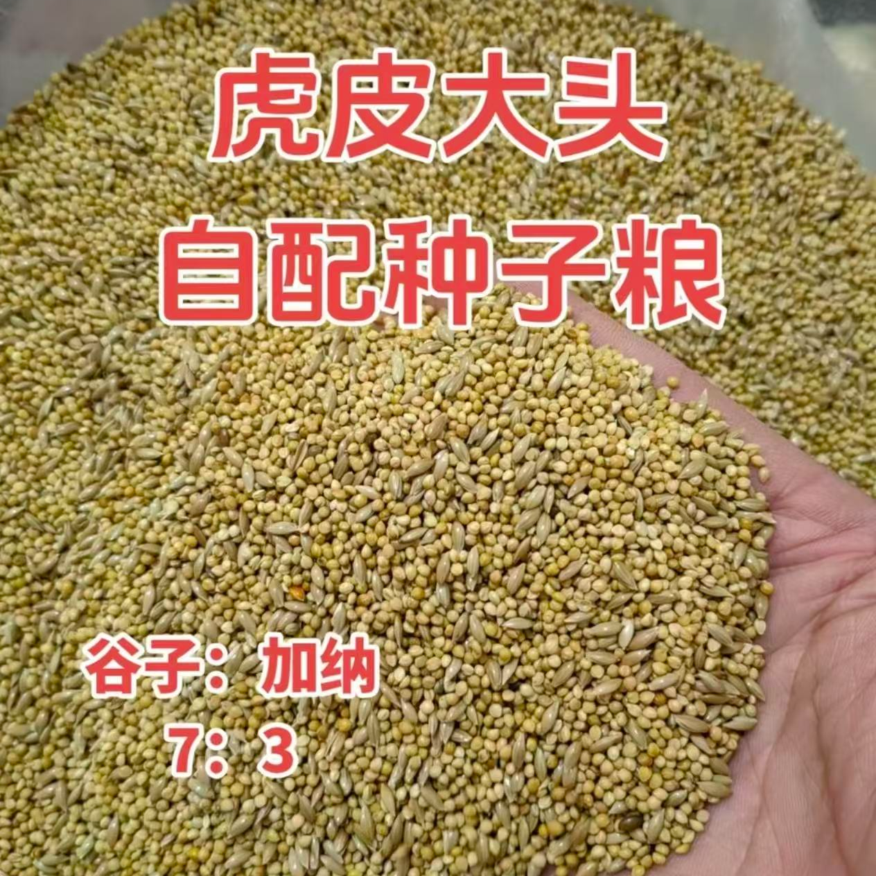 自制虎皮大头鹦鹉宠物粮鸟食鸟粮凯克鹦鹉虎皮鹦鹉鹦鹉食粮