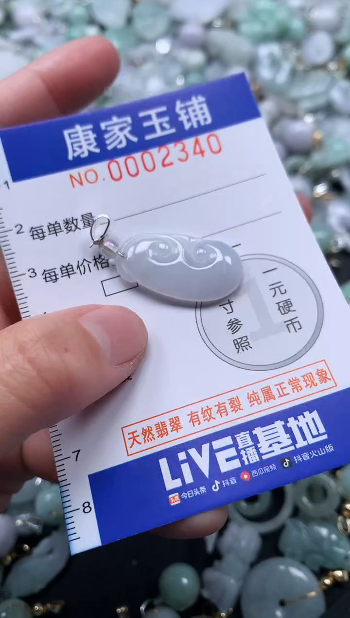 颈饰未镶嵌翡翠2340