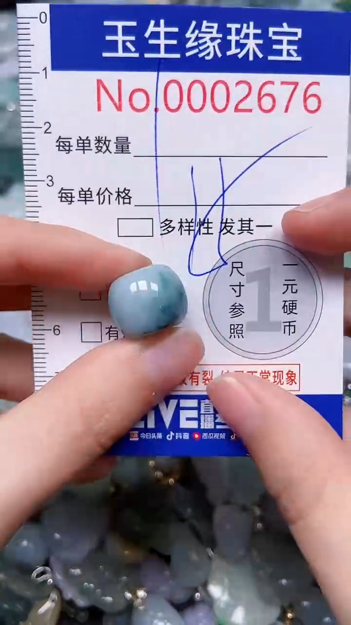【闪购商品】翡翠颈饰未镶嵌闪购00002676