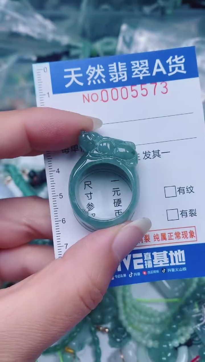 颈饰未镶嵌翡翠00005573