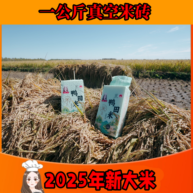 笨厨二美二美家稻花香鸭田米5块2斤米砖