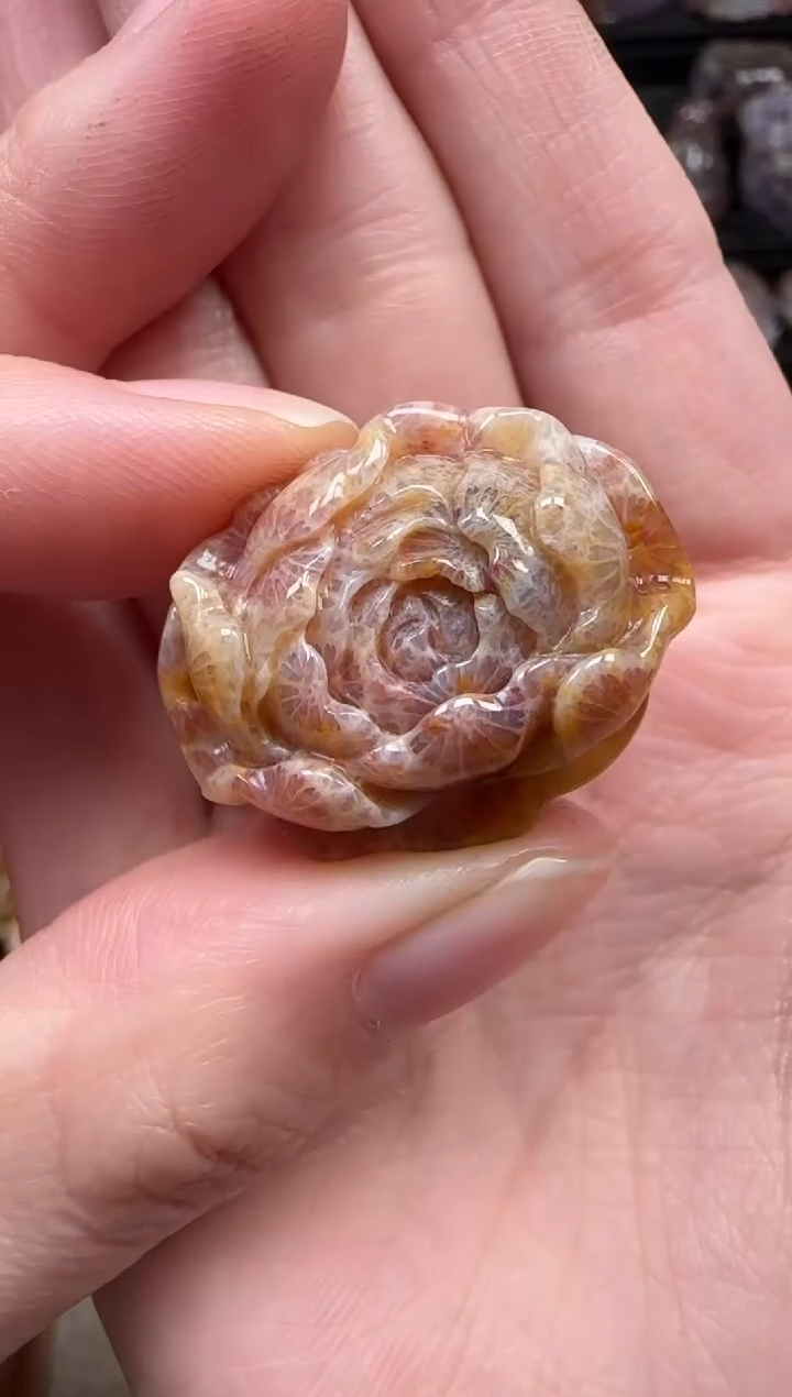 颈饰未镶嵌硅化珊瑚（珊瑚玉）370