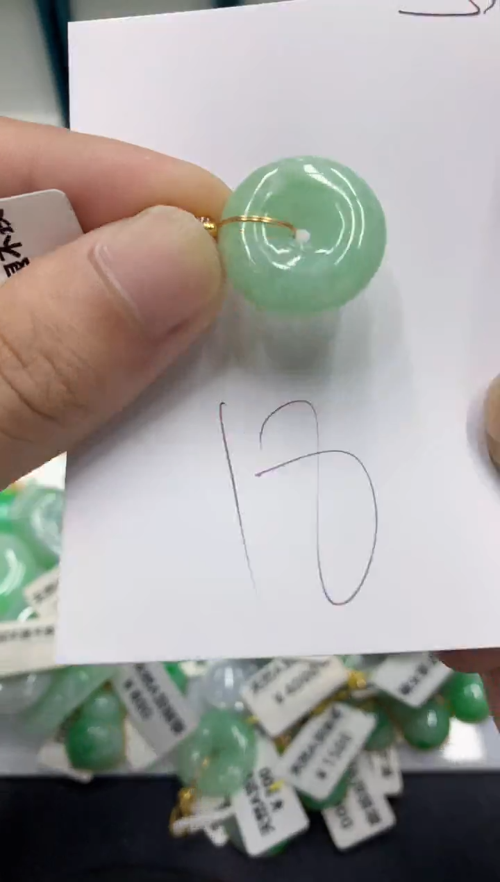 【闪购商品】翡翠颈饰未镶嵌翡翠