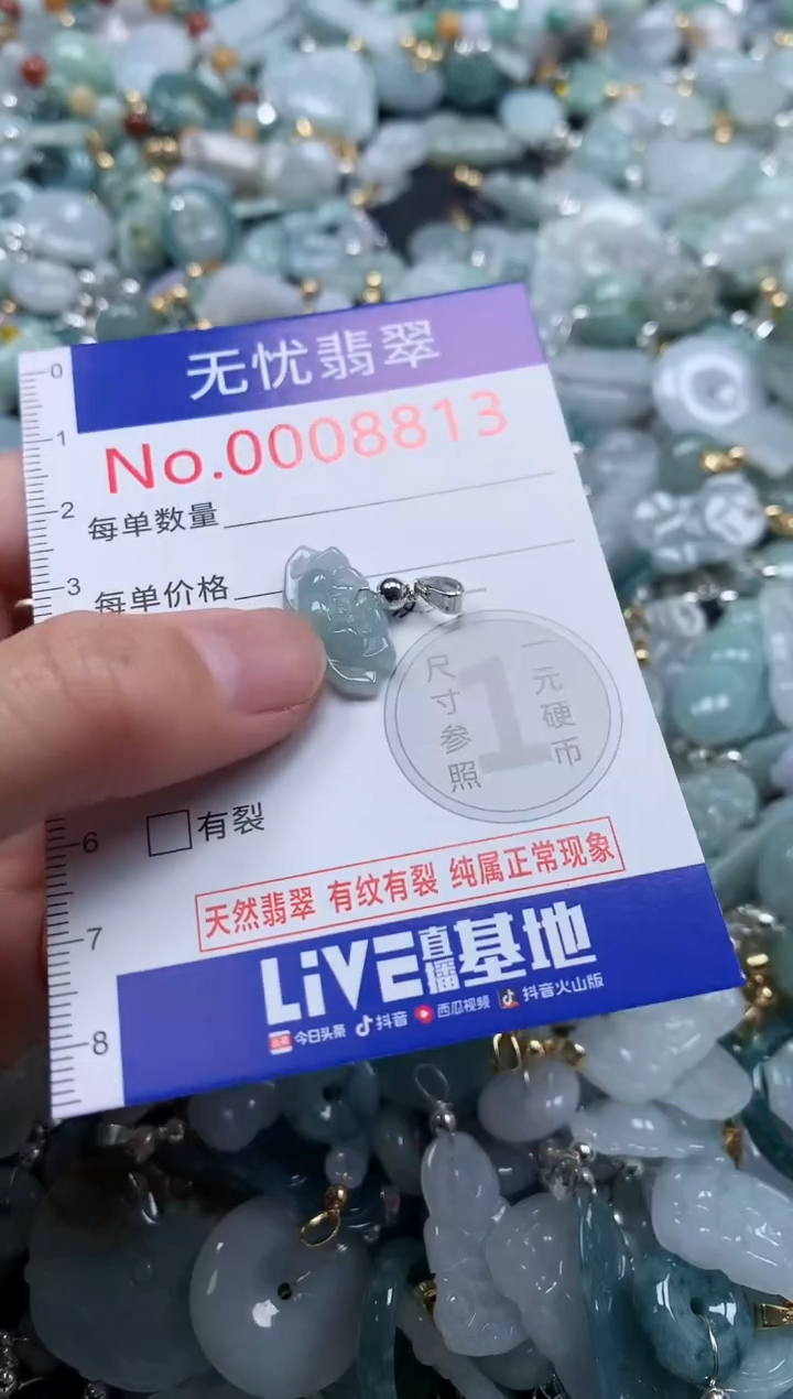 翡翠未镶嵌吊坠(不含链)8813