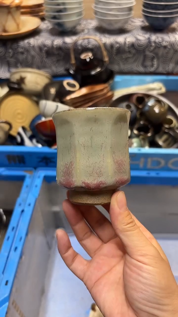 瓷片喵喵家都是大漂亮