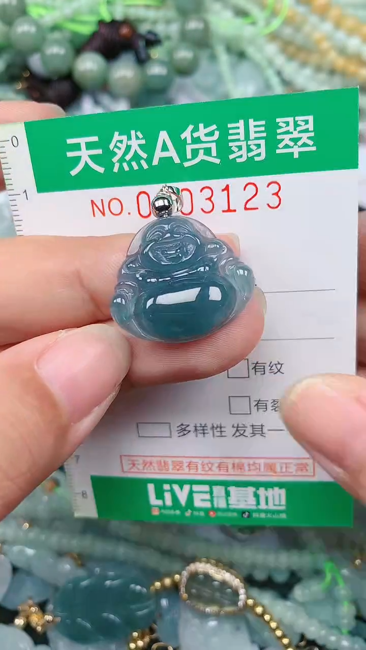 颈饰未镶嵌翡翠.0003123