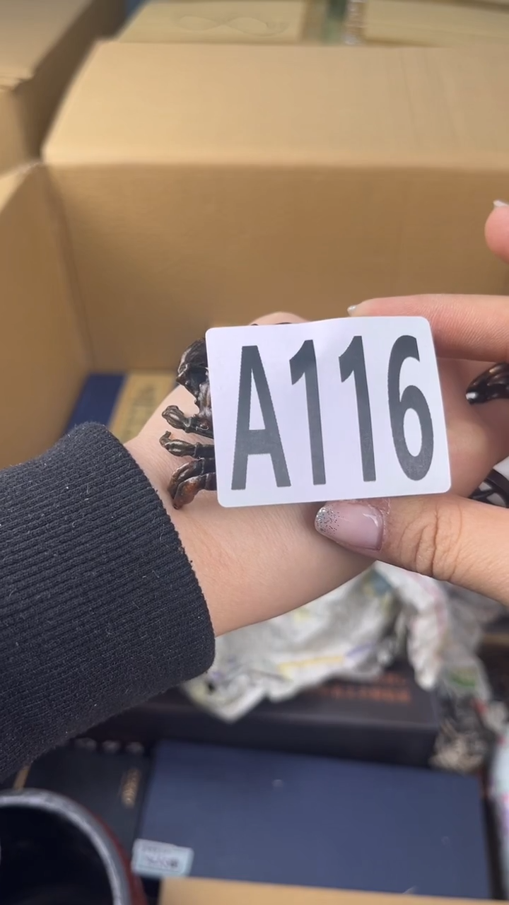 瓷片原**秋盛匠轩古美术