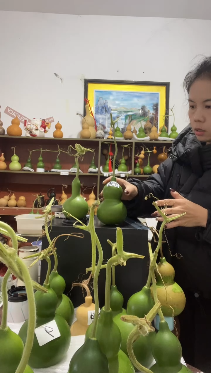 太***饼995天然葫芦摆件 一物一拍龙头不保售后两个