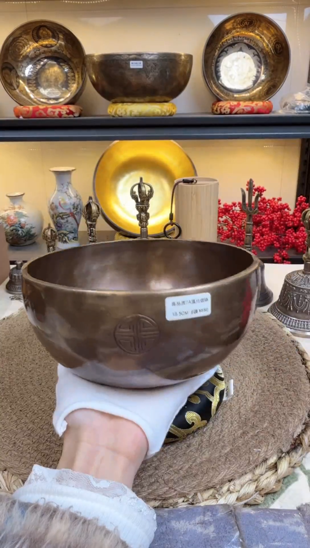 【闪购商品】7A满月 18.5 B      