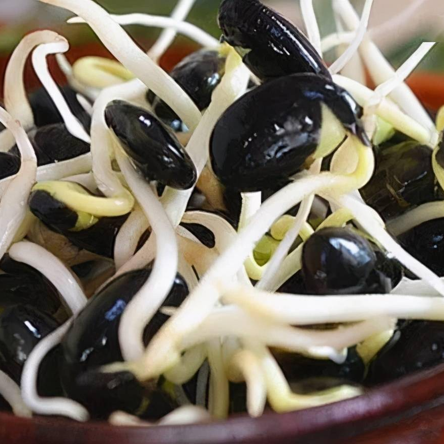 (王海专属)本地新鲜黑豆芽720克 直播间福利