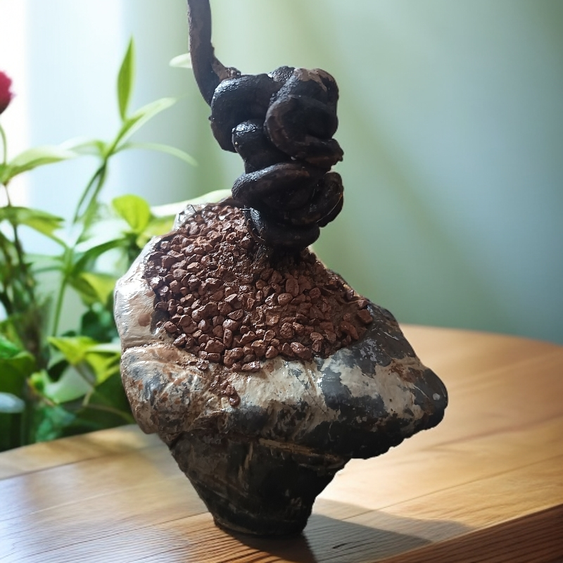 金弹子姣姣坨坨，一物一拍，请不要随意下单，谢谢