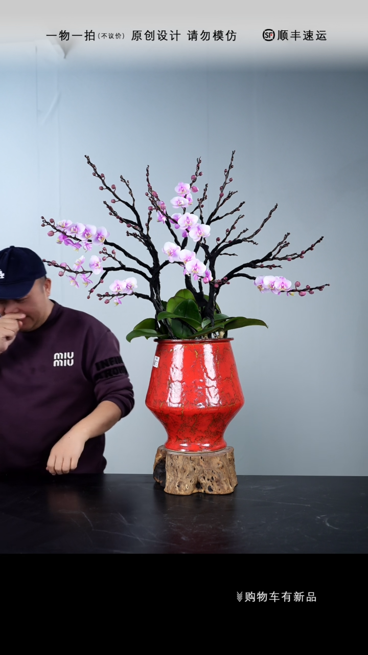 【闪购商品】040号链接【一物一拍】艺术盆景