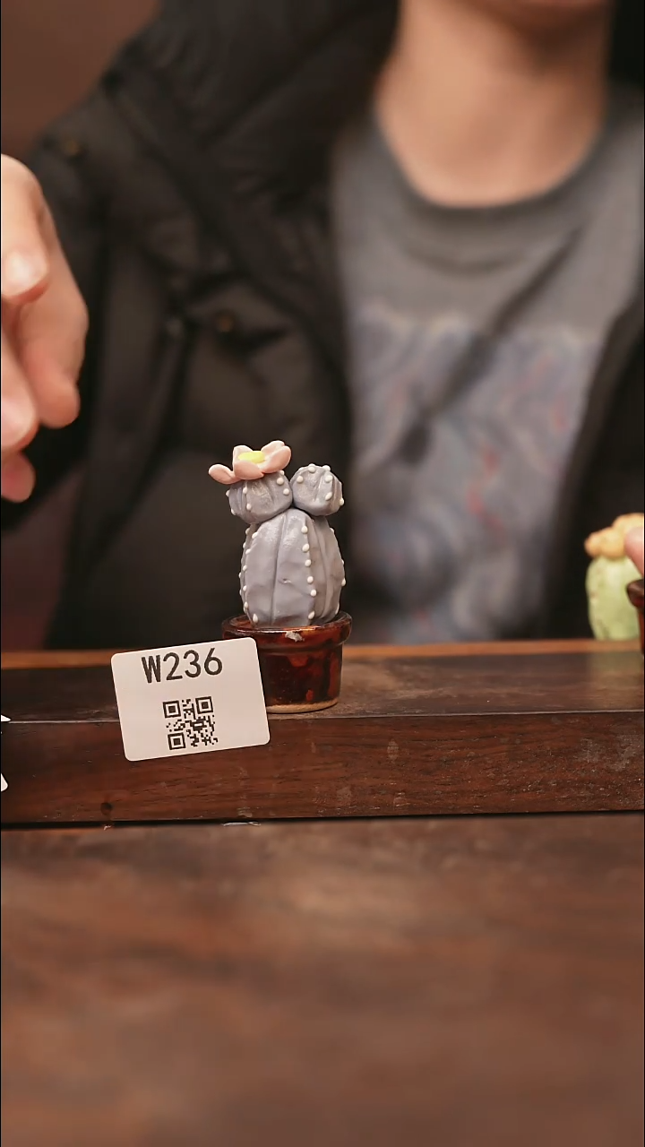 【经典福利】/杯子@@W236