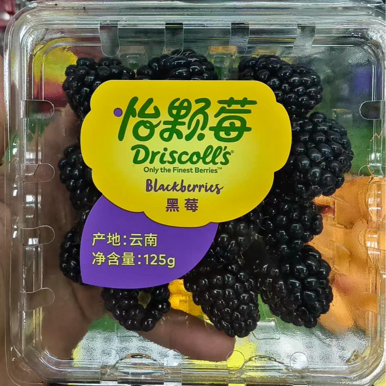 怡颗莓 黑莓 125g