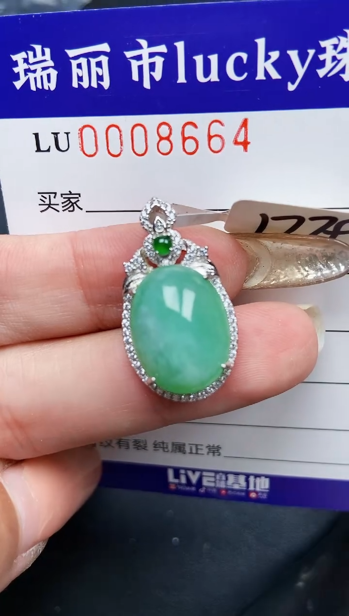 【闪购商品】翡翠颈饰银S925镶嵌7664