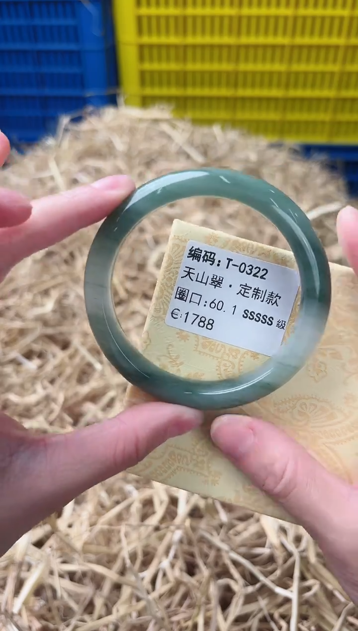 未镶嵌手镯石英质玉T-0322