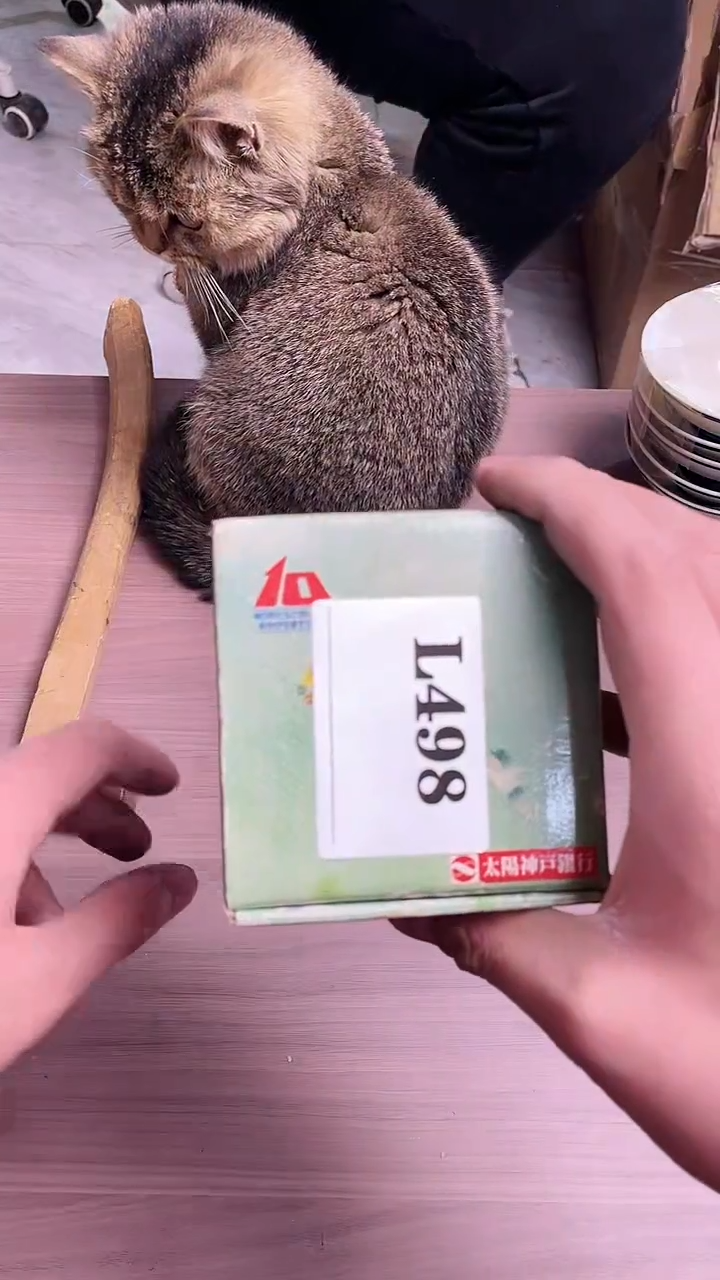 瓷片韵*默认微瑕回流古瓷498