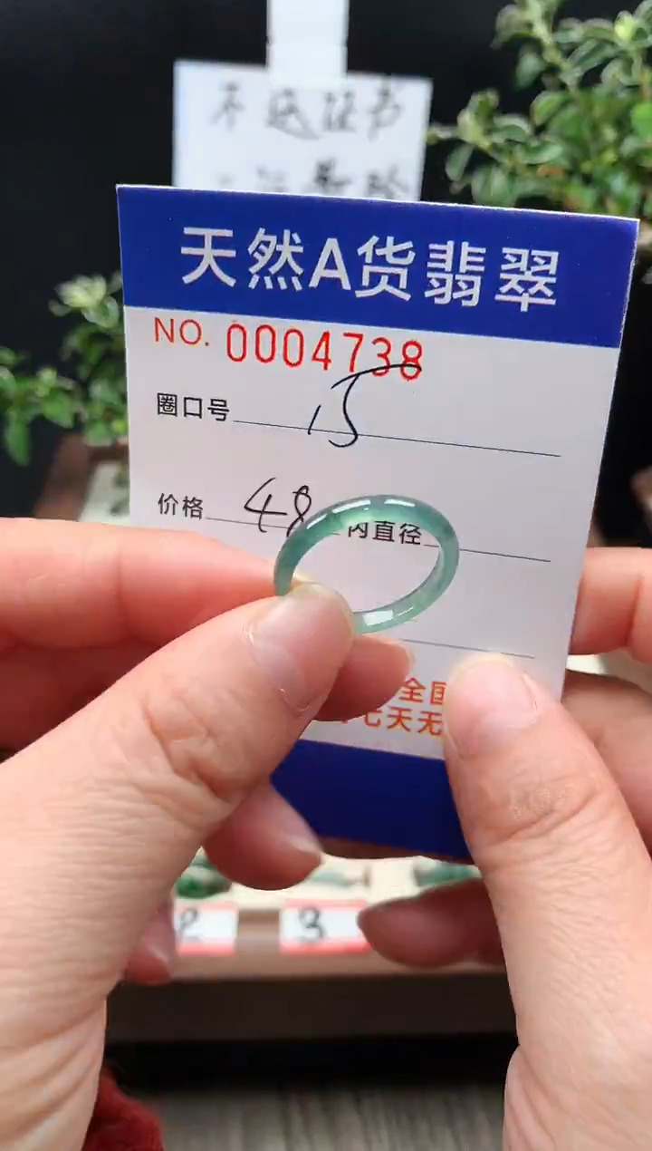 未镶嵌戒指翡翠15#