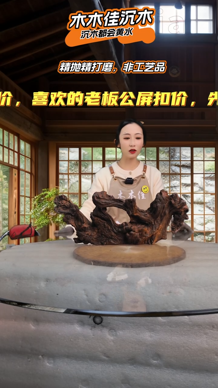 沧****化木木佳沉木鱼缸造景613