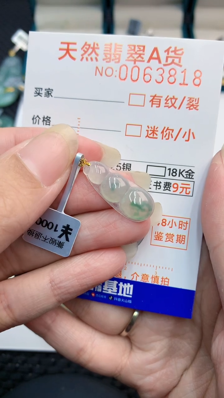 【闪购商品】翡翠颈饰18K金镶嵌           8