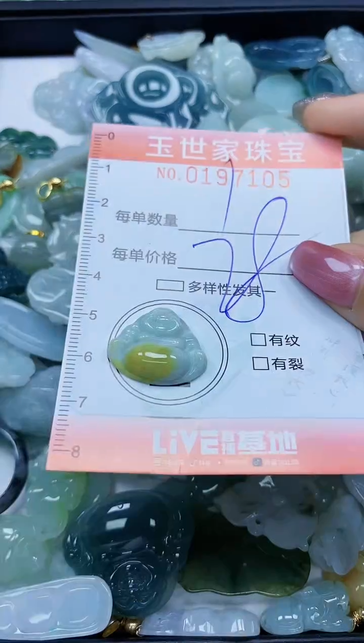 【闪购商品】翡翠颈饰未镶嵌闪购0197105