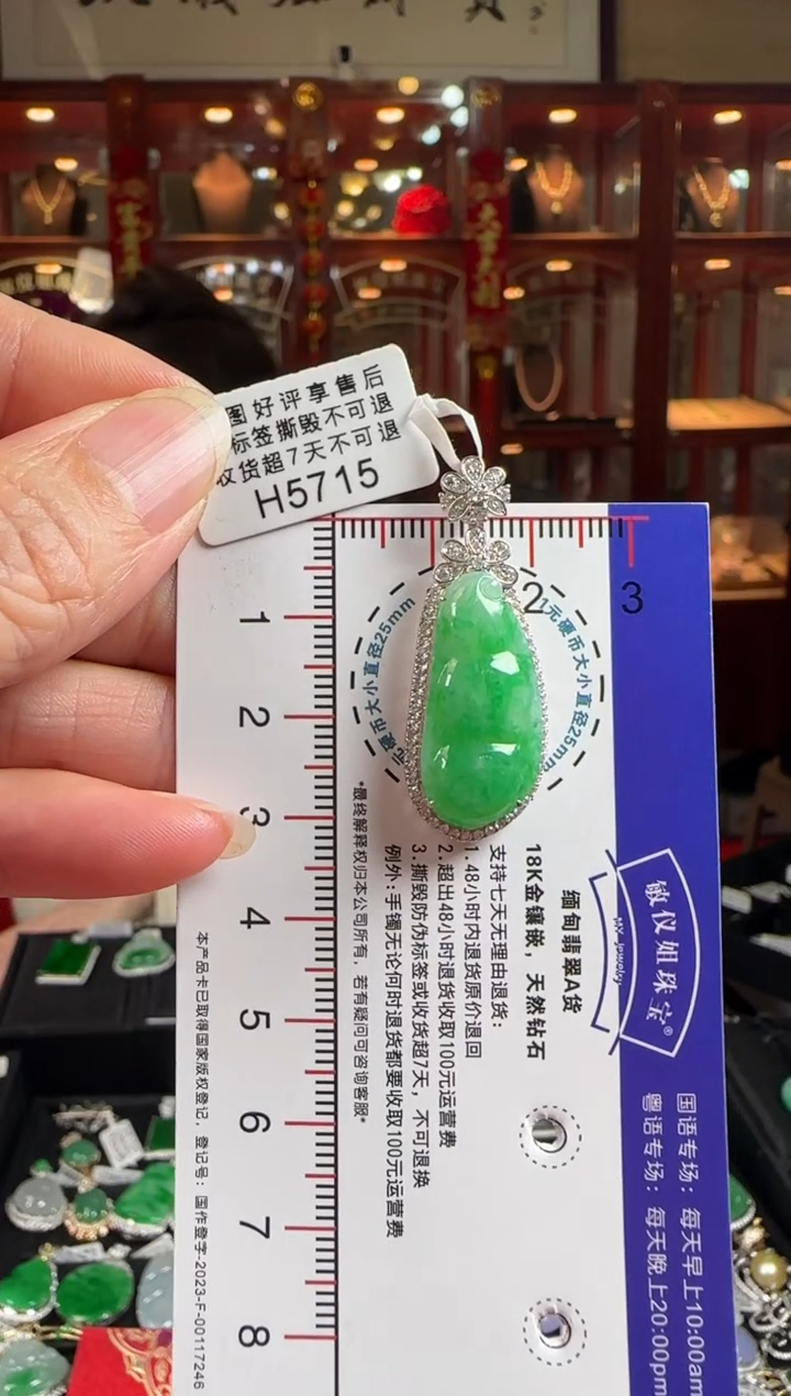 【闪购商品】翡翠颈饰18K金镶嵌H5715冰阳绿富贵豆