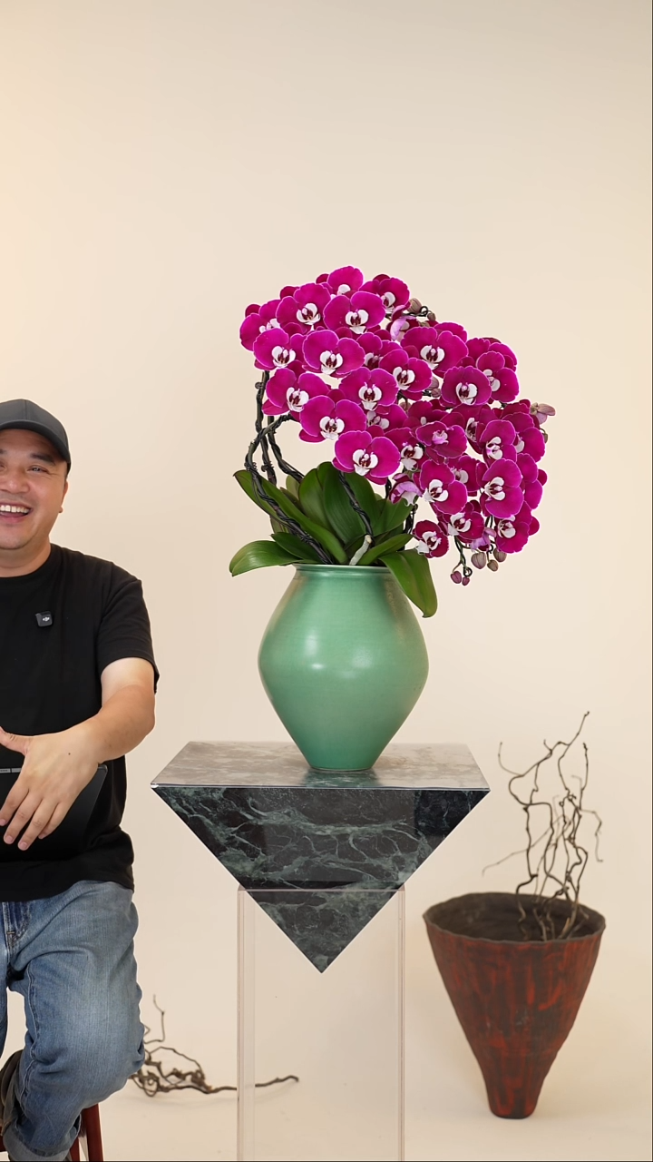 全部花朵008号链接【一物一拍】艺术盆景