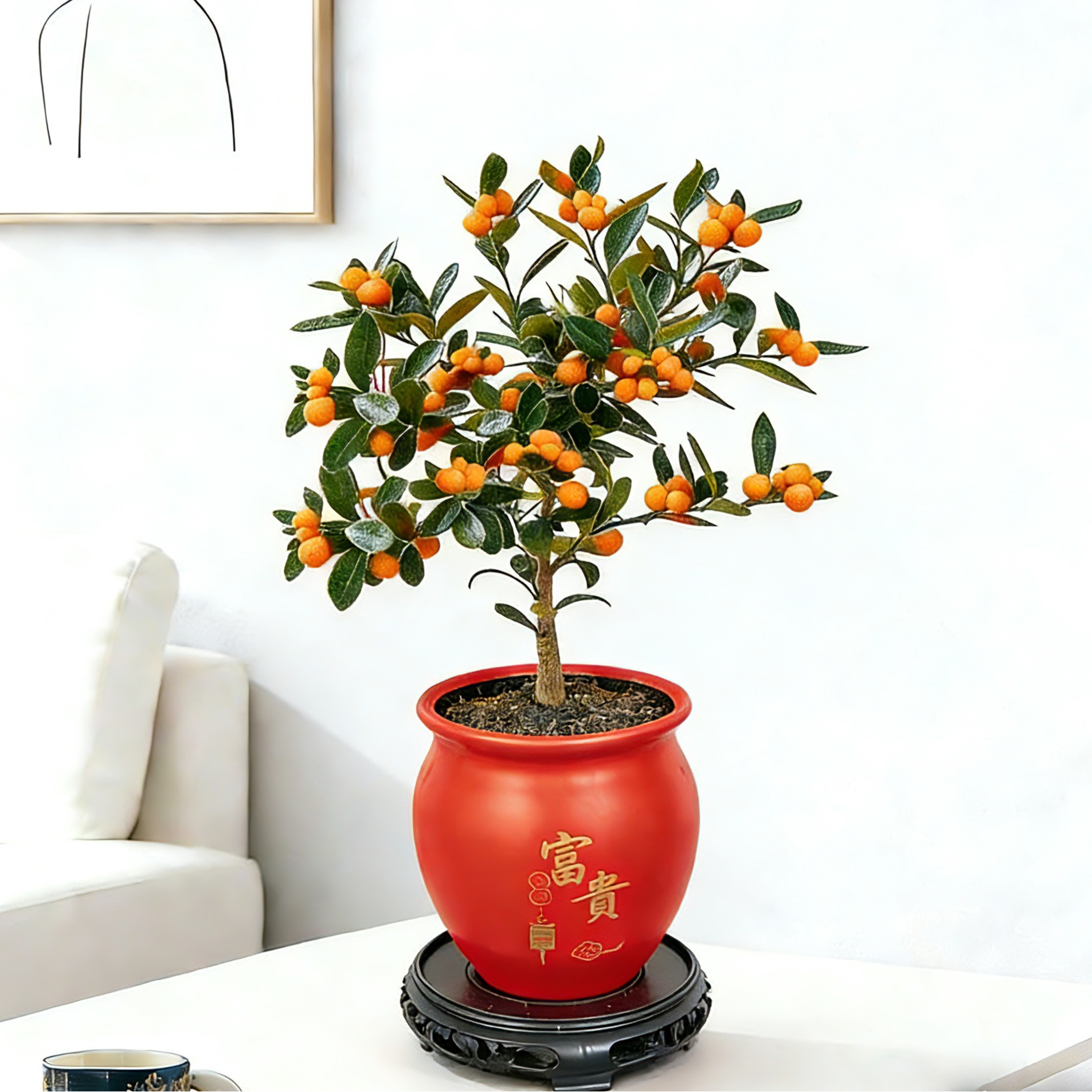 金豆小金桔带果绿植办公室内茶桌创意摆件耐寒盆栽年宵花卉小绿植