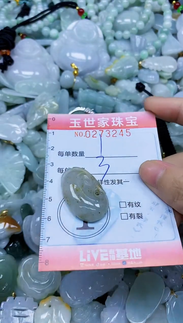 翡翠未镶嵌颈饰闪购0273245