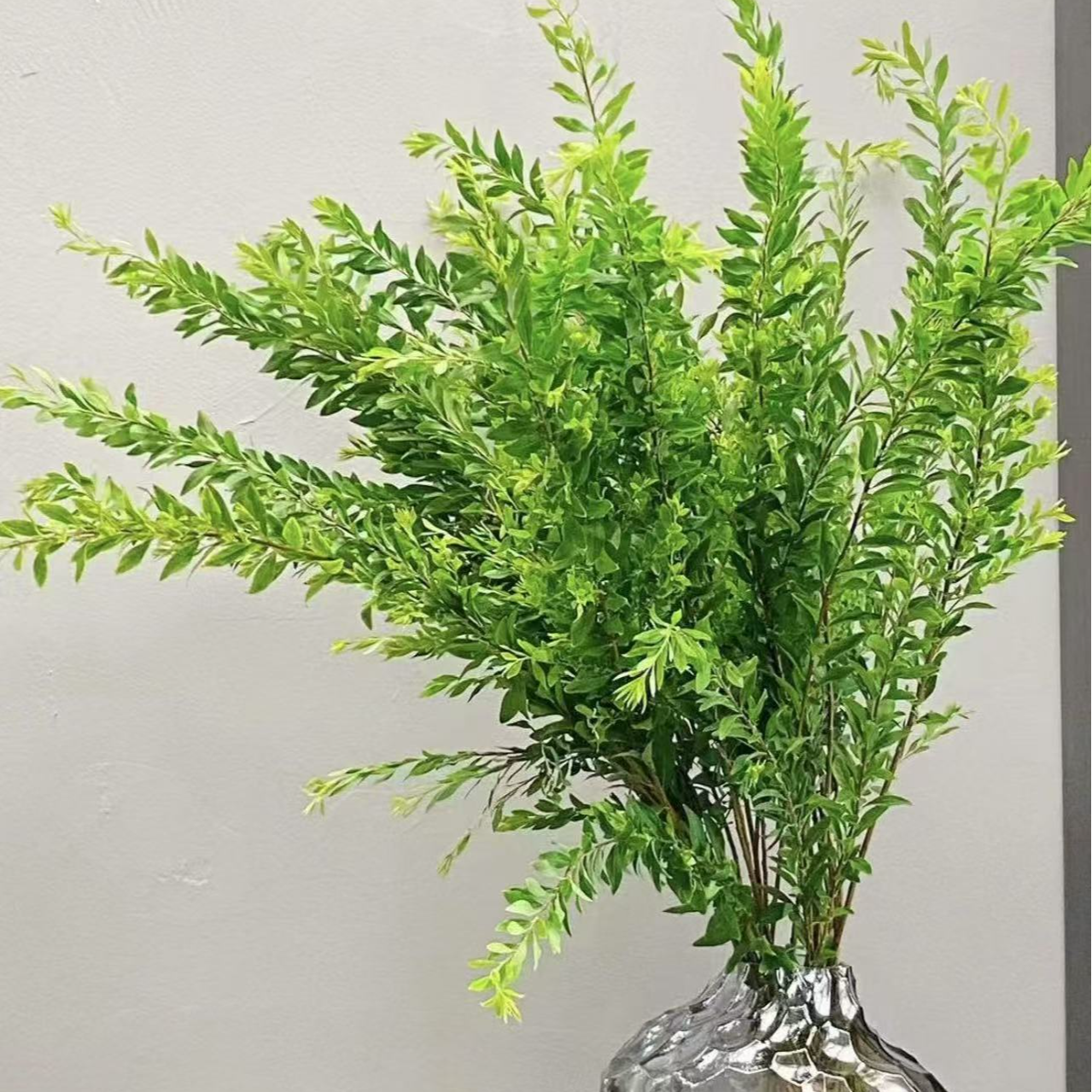 【次日达·雪柳叶草花1扎】家居生活鲜花·全场任意两单顺丰送货上门·今天拍明天到·基地直发现采现发售后无忧