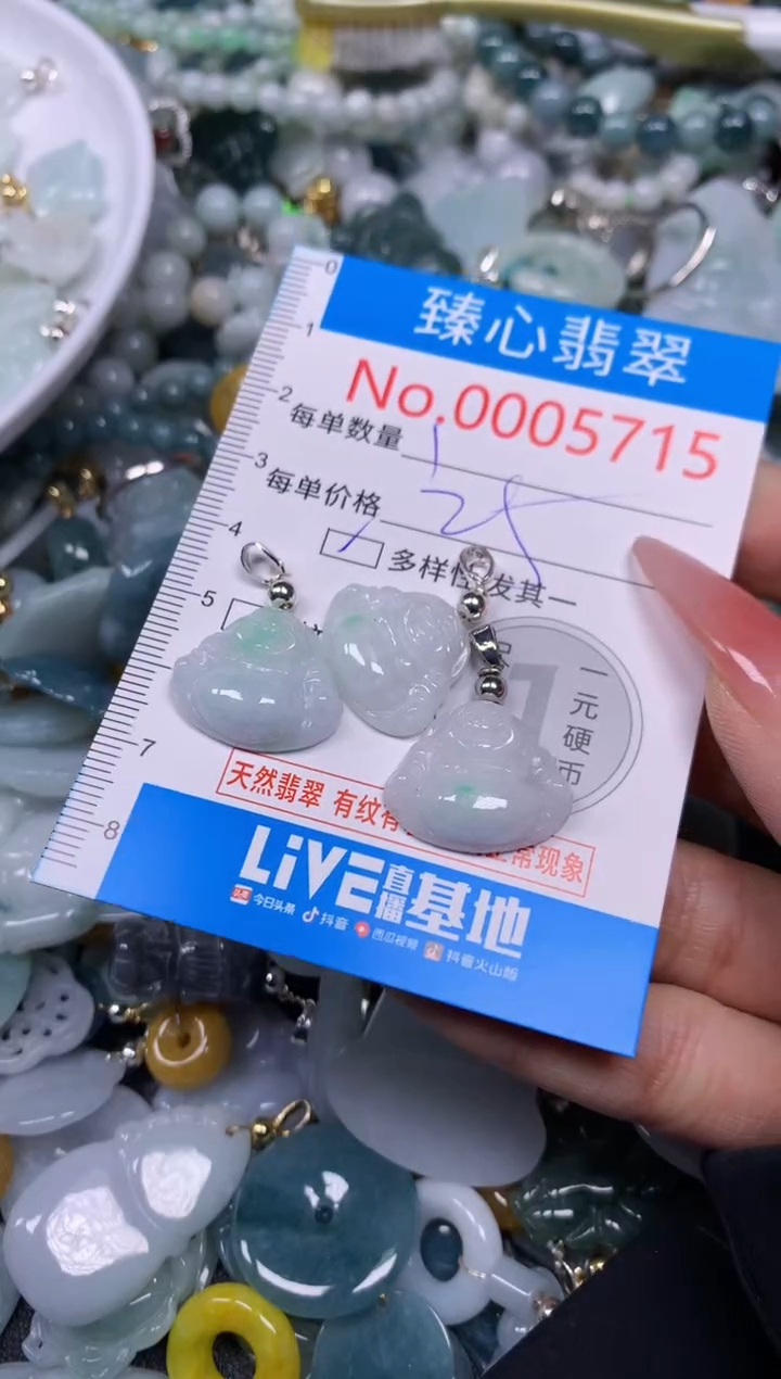 【闪购商品】翡翠颈饰未镶嵌含绳0005715