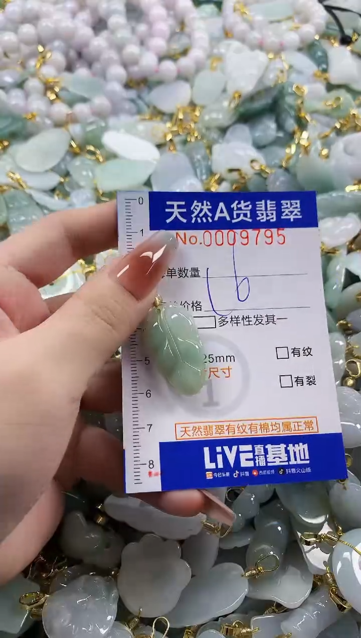 颈饰未镶嵌翡翠天然A货翡翠