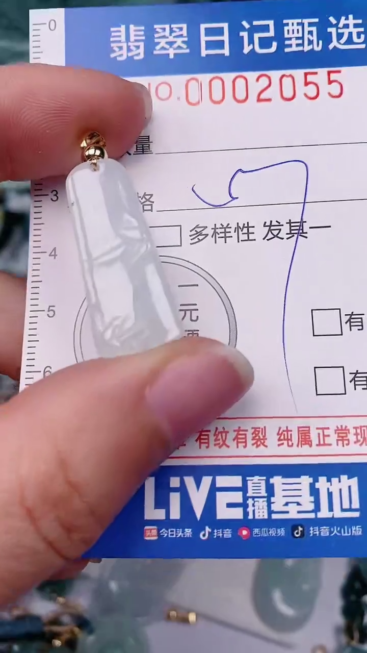 【闪购商品】翡翠颈饰未镶嵌00002055