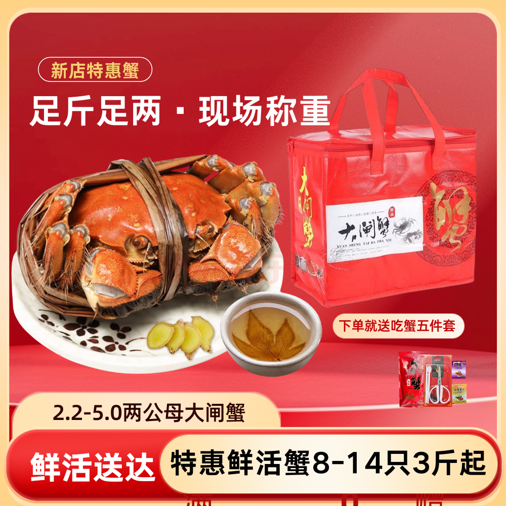 【活蟹】8-14只大闸蟹公蟹5.0两母蟹2.0螃蟹公母毛蟹1500g