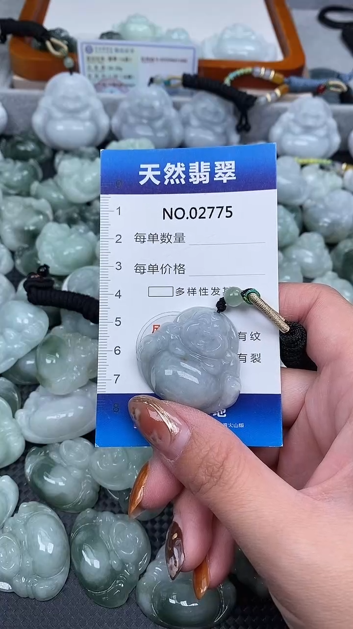 颈饰未镶嵌翡翠纯天然A货翡翠2775