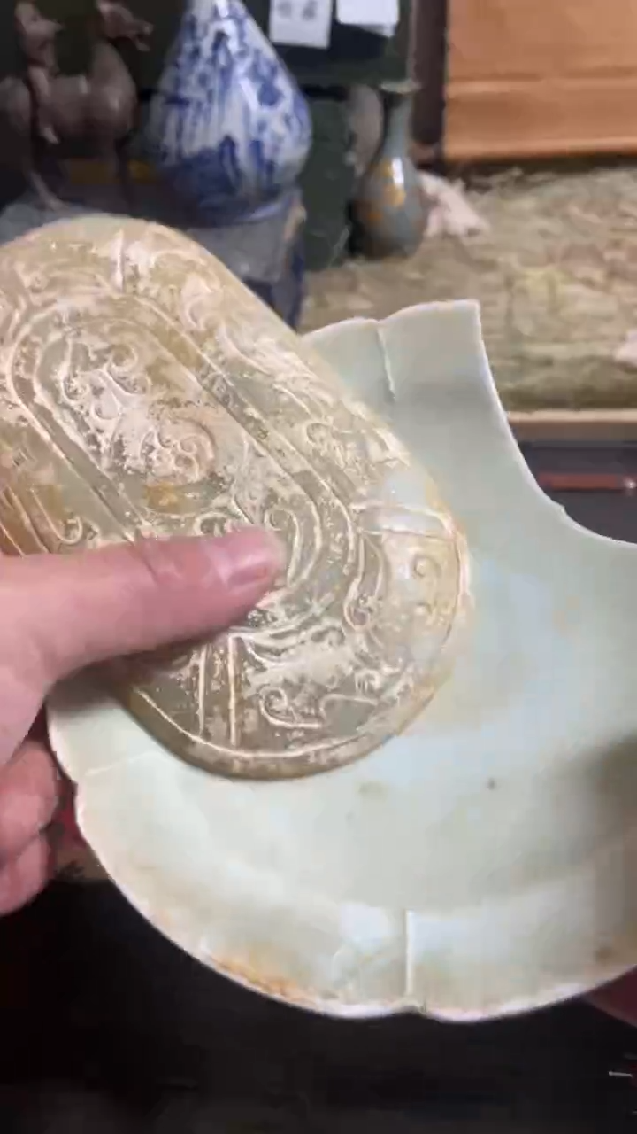 瓷片主播推荐好物