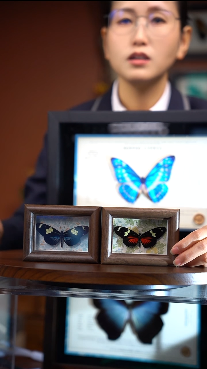 R59    海神袖  红 蓝 一对2只 冰箱贴  木质框