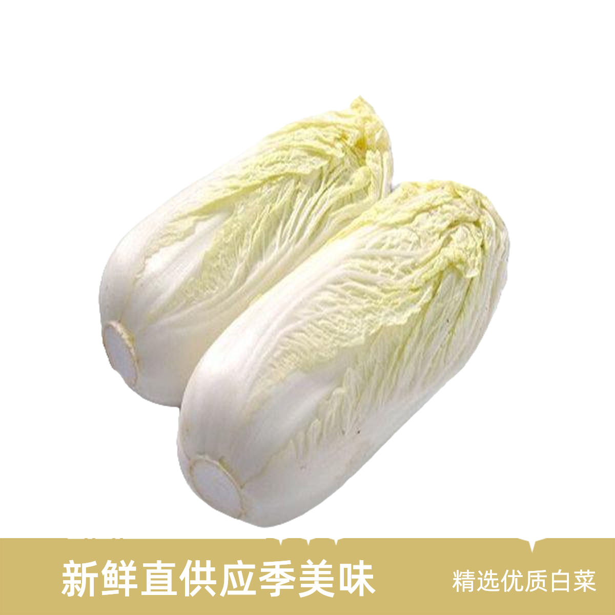 白菜好吃新鲜本地