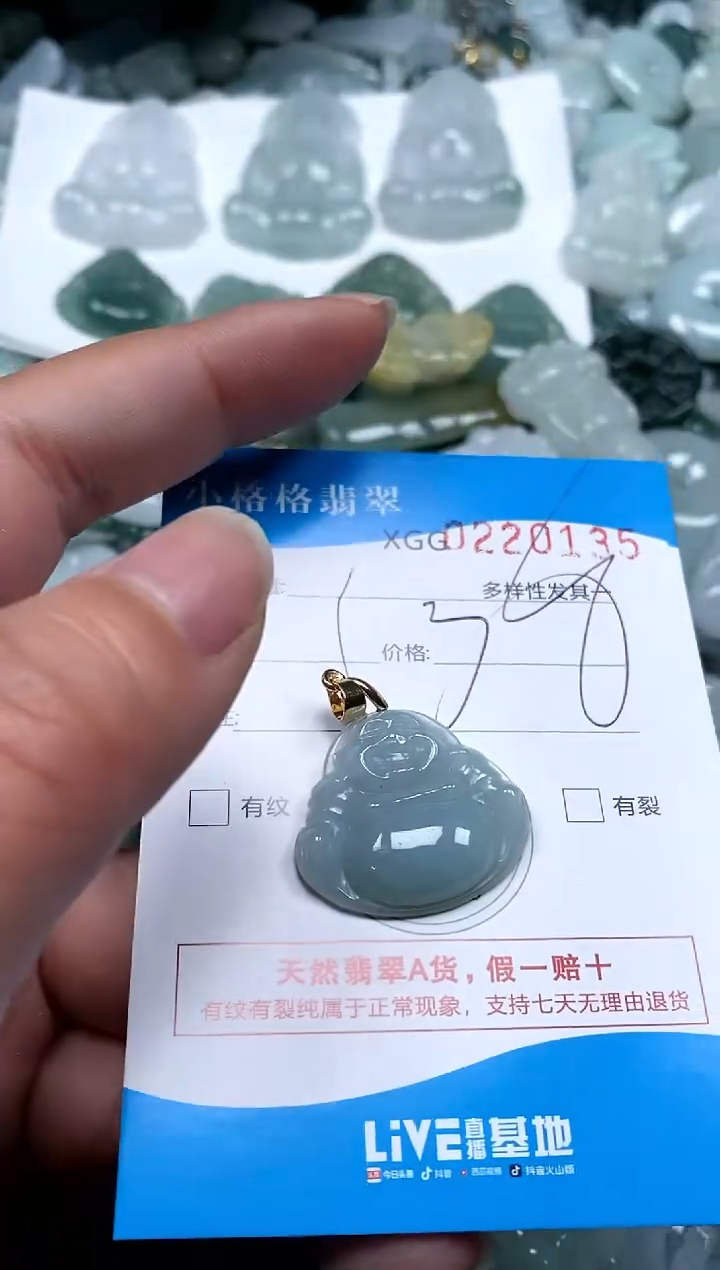 【闪购商品】翡翠颈饰未镶嵌闪购商品0220135