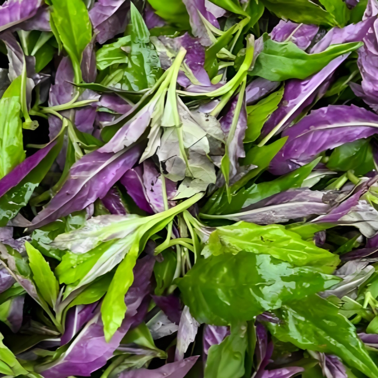 指鲜送 •新鲜野菜组合 300g（紫背天葵、富贵菜、菜心）