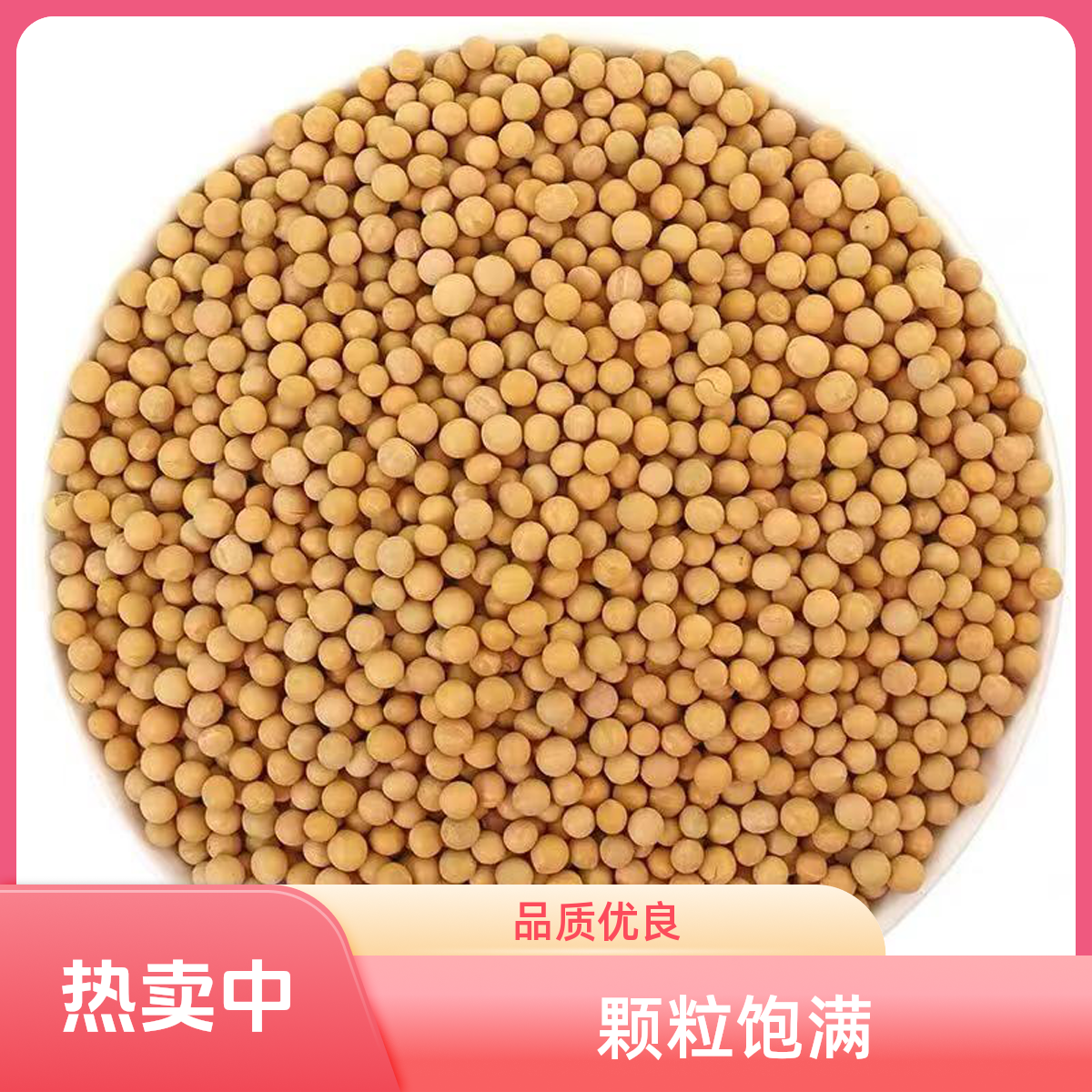 东北黄豆精选颗粒饱满做豆浆专用黄豆生豆芽五谷杂粮非转基因